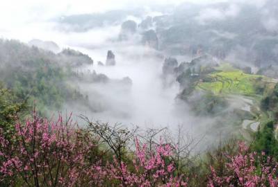 候鳥的選擇，彰顯湖南生態(tài)系統(tǒng)持續(xù)優(yōu)化